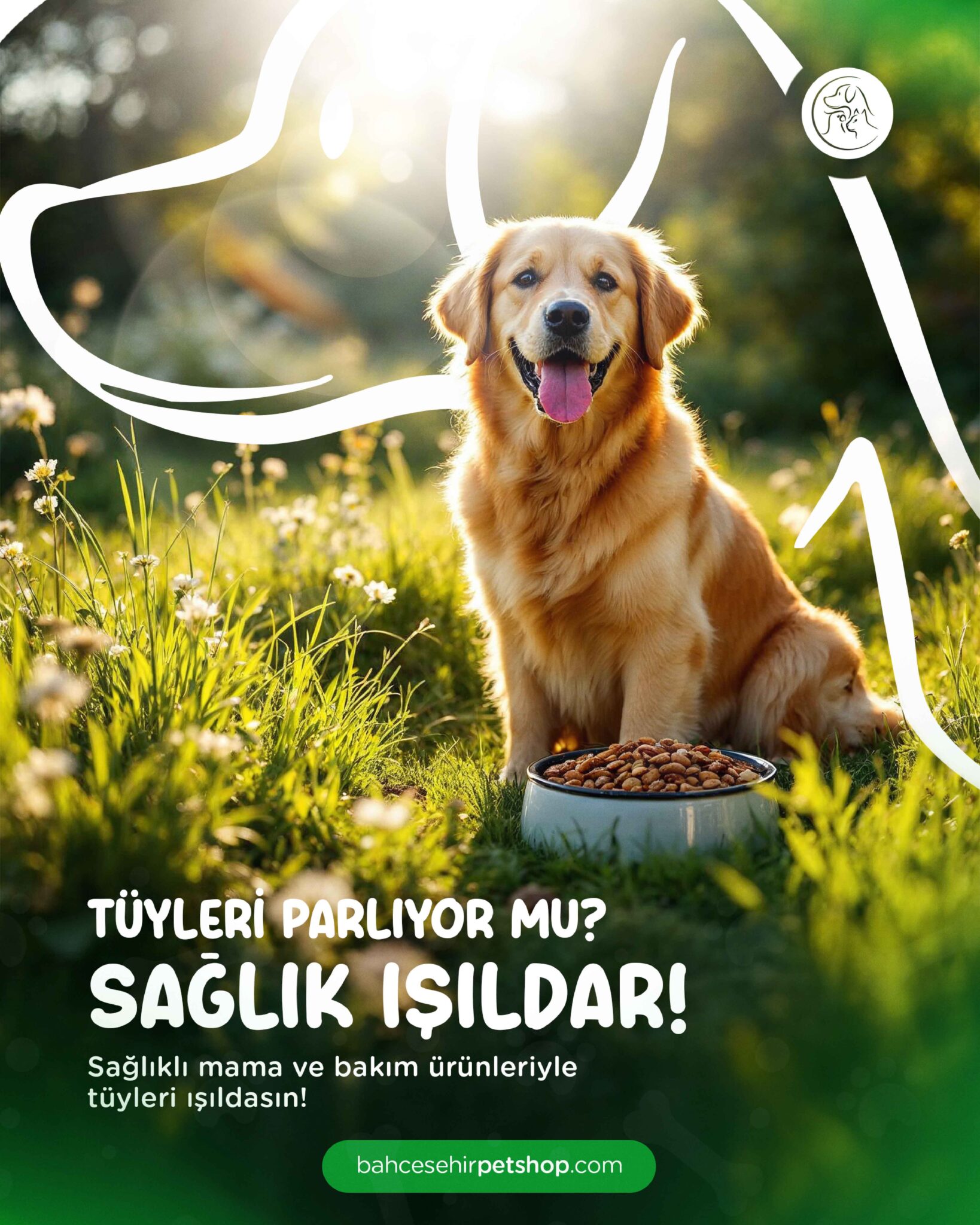 sosyal medya yönetimi-01